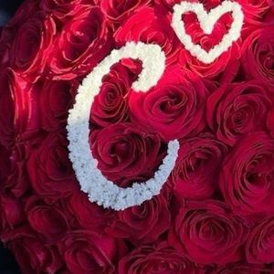 Meet your Posher, Tanner